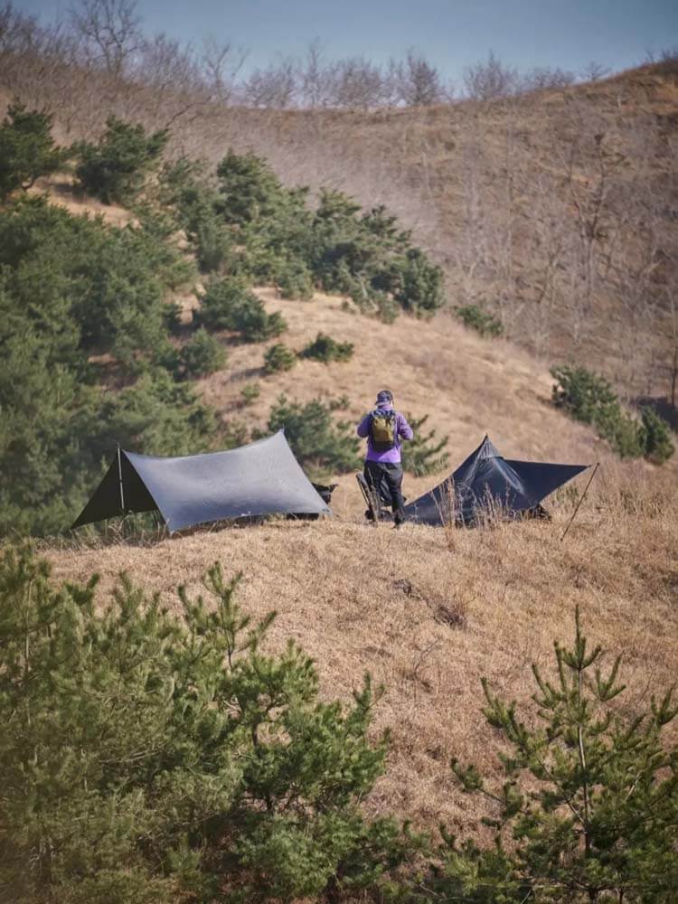I love camping during cherry blossom season