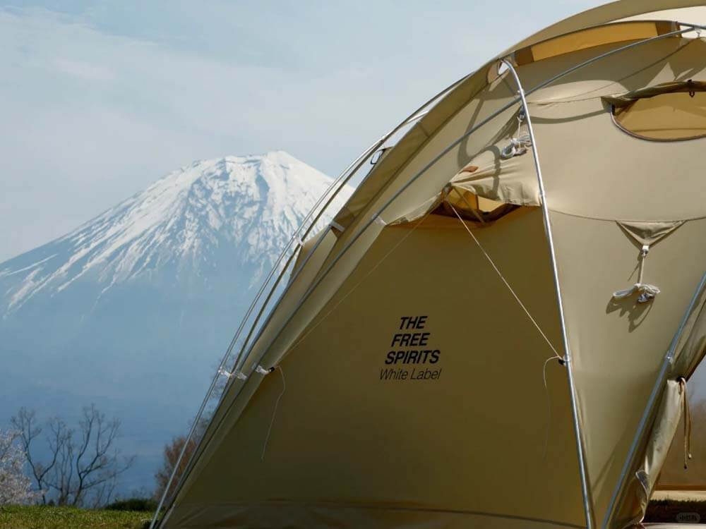 Reliving an Old Dream