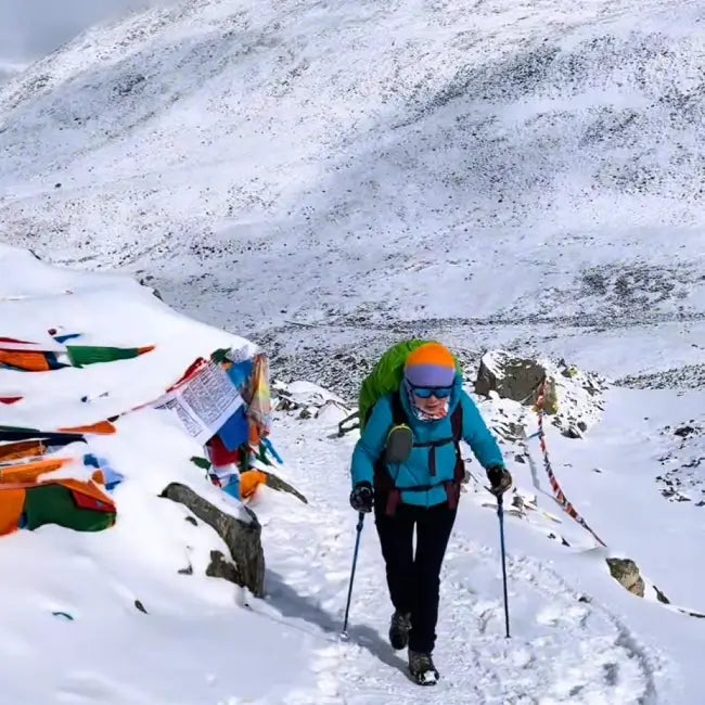 Trekking Poles