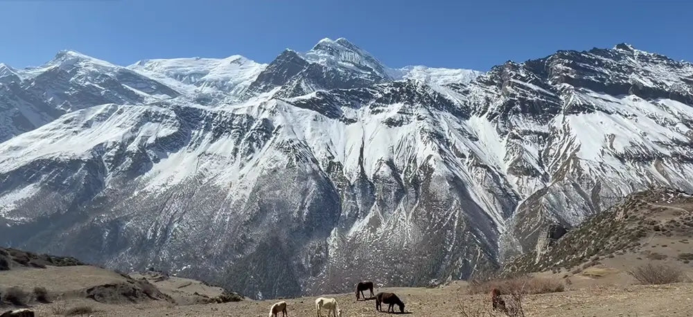 Everest Base Camp vs Annapurna Base Camp Trek
