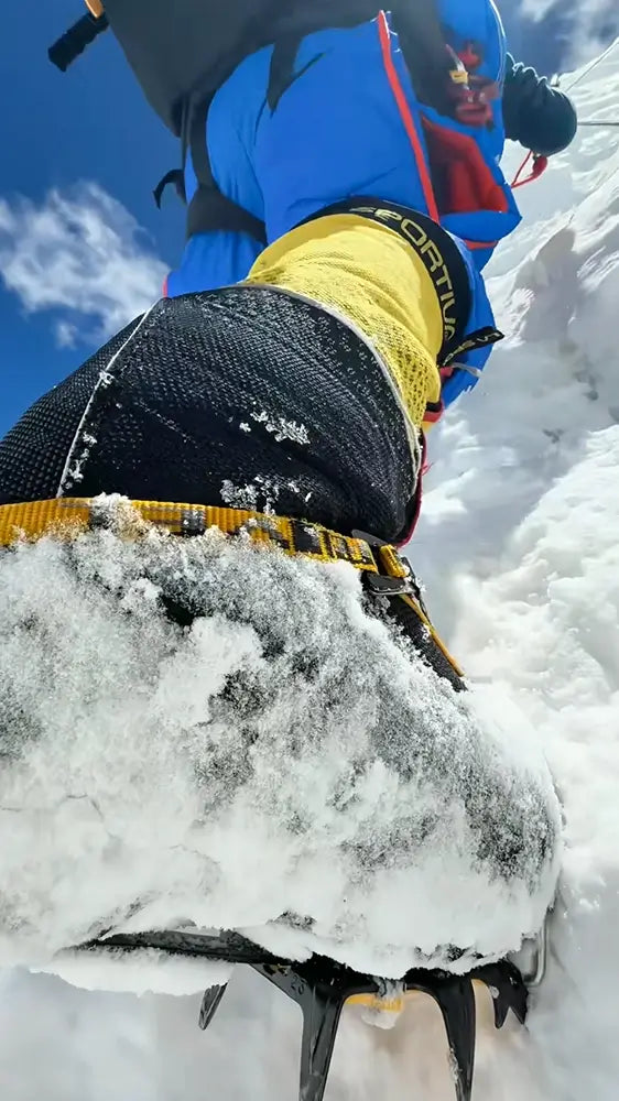 Climb Everest Cost