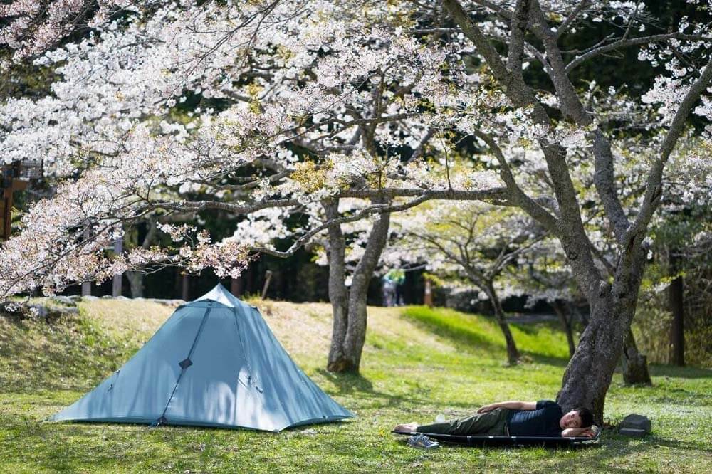 Today I brought all the Pretents tents under the cherry trees...